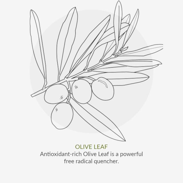 Green People Organic Toothpaste Peppermint & Aloe Vera, Vegan thumbnail 7