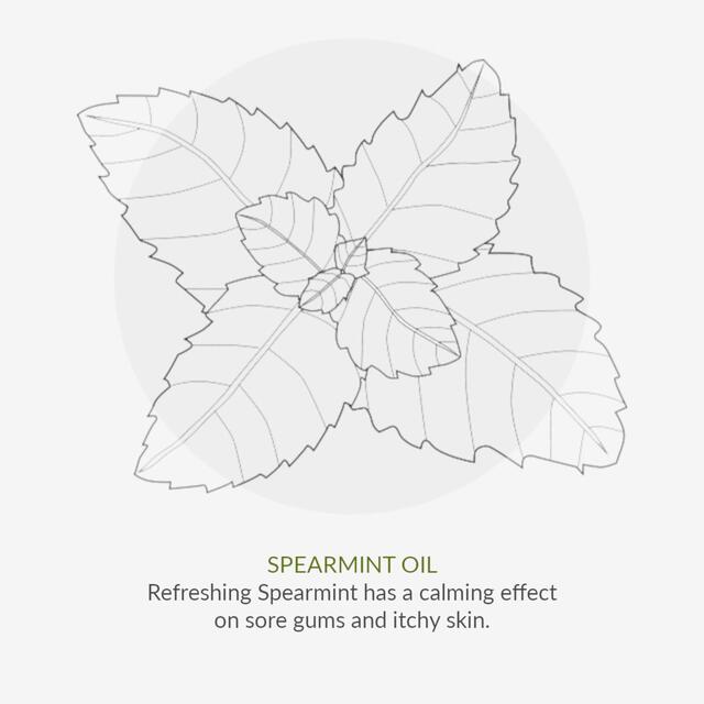 Green People Mint Cool Organic Toothpaste thumbnail 8