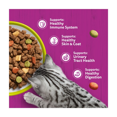 Whiskas 1+ Adult Dry Cat Food with Lamb thumbnail 4