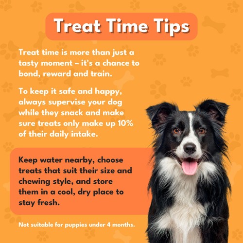 Pet Munchies 100% Natural Beef Liver Stick Dog Treats thumbnail 4