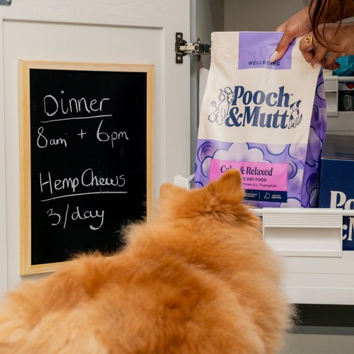 Pooch & Mutt Calm & Relaxed Complete Dry Dog Food thumbnail 8