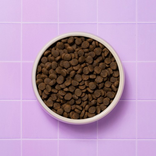 Pooch & Mutt Health & Digestion Complete Dry Dog Food thumbnail 3