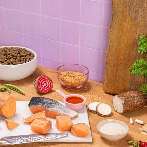 Pooch & Mutt Health & Digestion Complete Dry Dog Food thumbnail 5