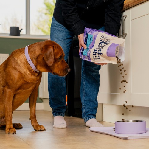 Pooch & Mutt Health & Digestion Complete Dry Dog Food thumbnail 8