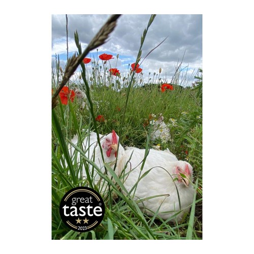 Packington Free Range Medium Whole Chicken thumbnail 5