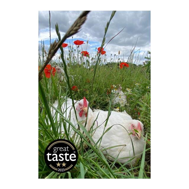 Packington Free Range Medium Whole Chicken thumbnail 5