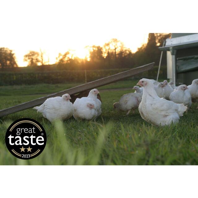 Packington Free Range Medium Whole Chicken thumbnail 6