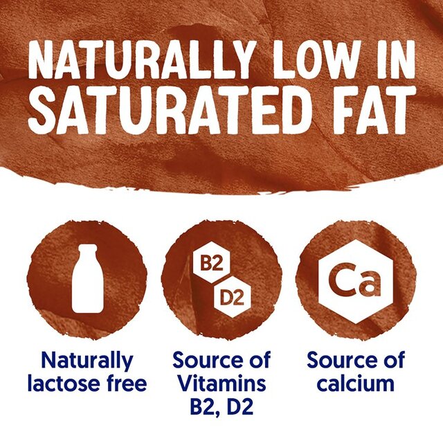 Alpro Soya Chocolate Chilled Drink thumbnail 5