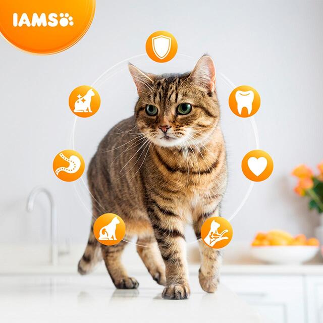 IAMS for Vitality Adult Cat Food With Salmon thumbnail 3