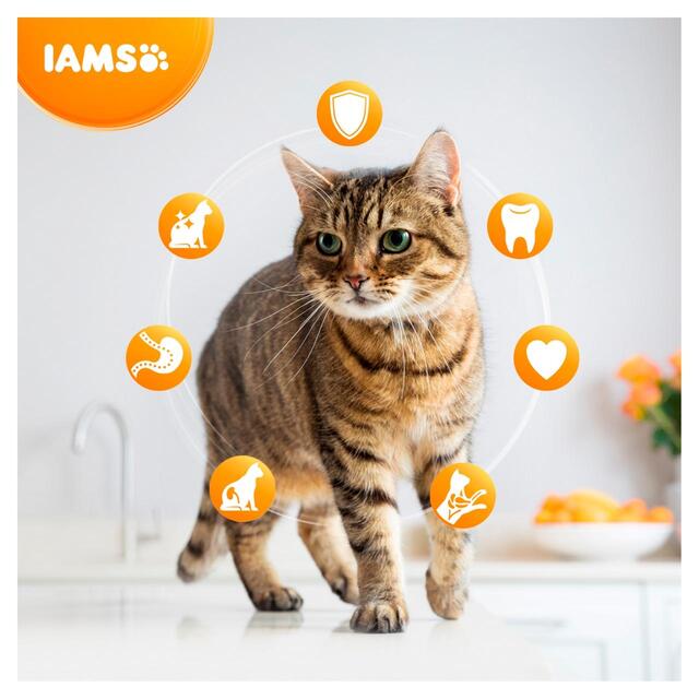 IAMS for Vitality Senior Cat Food With Ocean Fish thumbnail 2