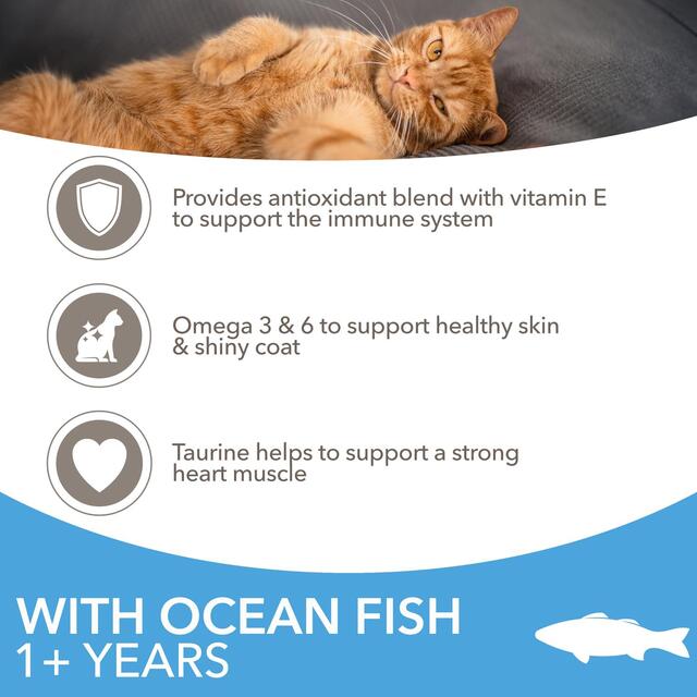 IAMS Adult Dry Cat Food Ocean Fish thumbnail 3