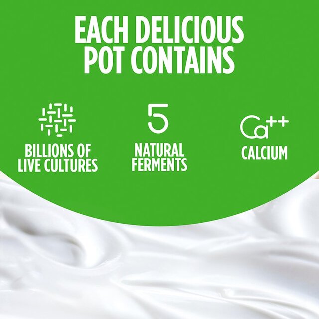 Activia Rhubarb Fruit Yoghurt thumbnail 9