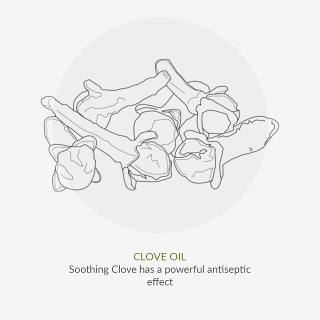 Green People Organic Toothpaste Fennel & Propolis thumbnail 10