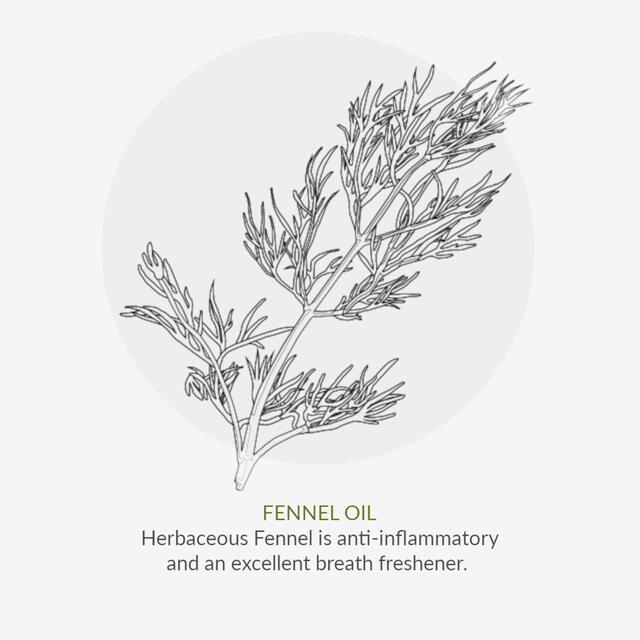 Green People Organic Toothpaste Fennel & Propolis thumbnail 7