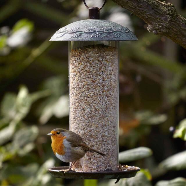 Peckish Complete Seed And Nut No Mess Wild Bird Food Mix thumbnail 2