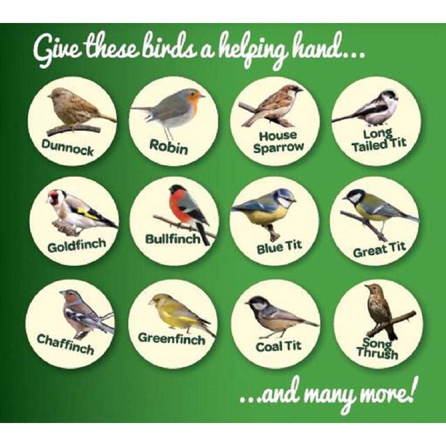 Peckish Complete Seed And Nut No Mess Wild Bird Food Mix thumbnail 5