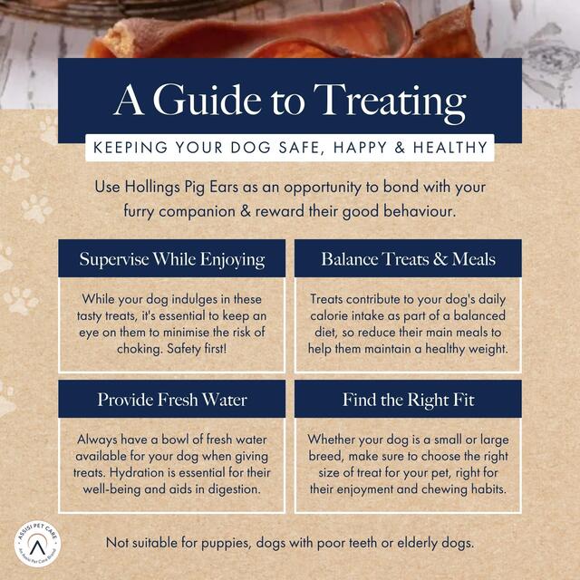 Hollings Pigs Ears Dog Treats thumbnail 2