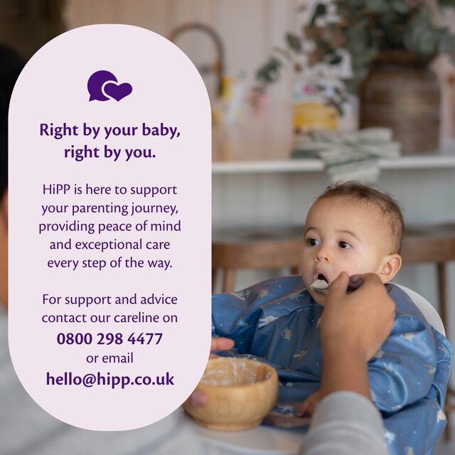 HiPP Organic 100% Baby Rice 6+ Months thumbnail 6