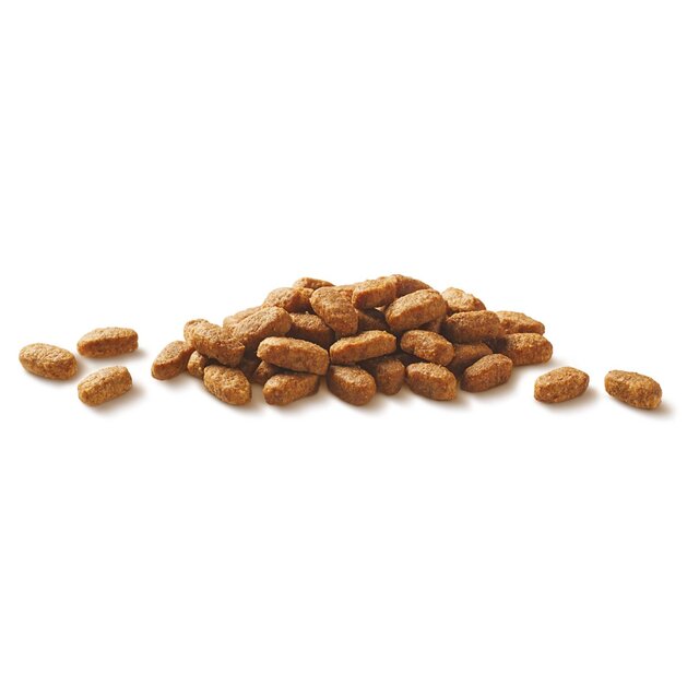 Purina One Chicken Dry Cat Food thumbnail 5