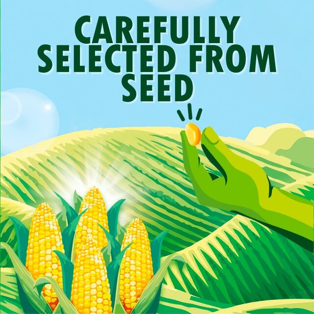 Green Giant Organic Salt Free Sweetcorn thumbnail 6