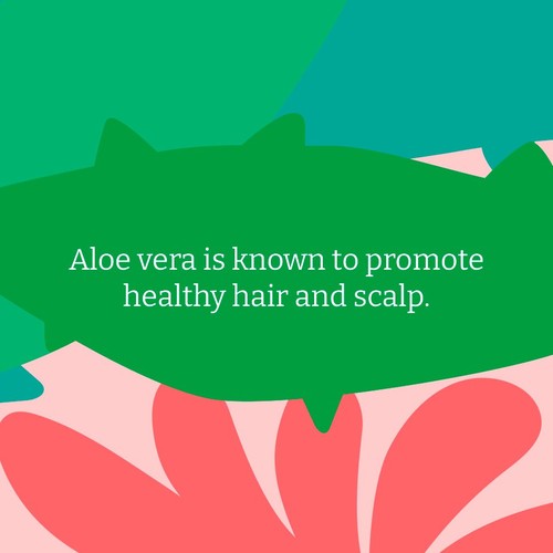 Faith in Nature Aloe Vera Shampoo thumbnail 7