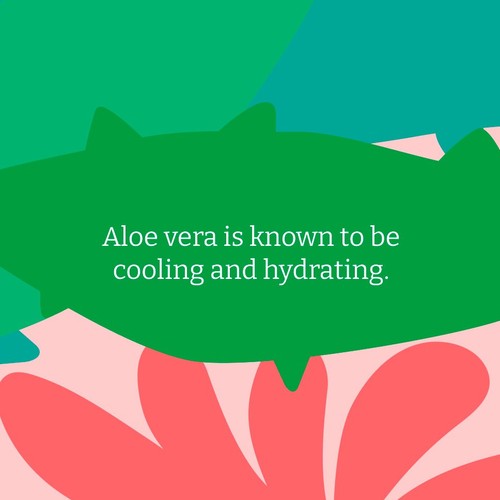 Faith in Nature Aloe Vera Body Wash thumbnail 7