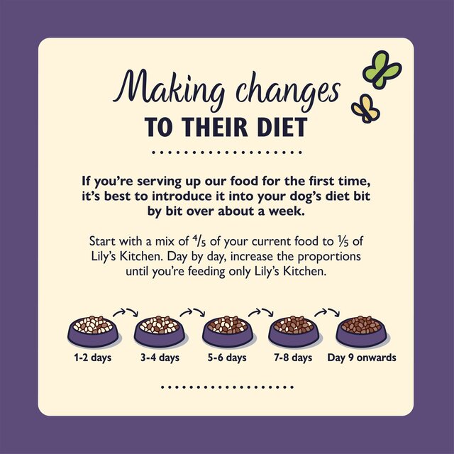 Lily's Kitchen Dog Turkey & Trout Senior Recipe Dry Food thumbnail 4