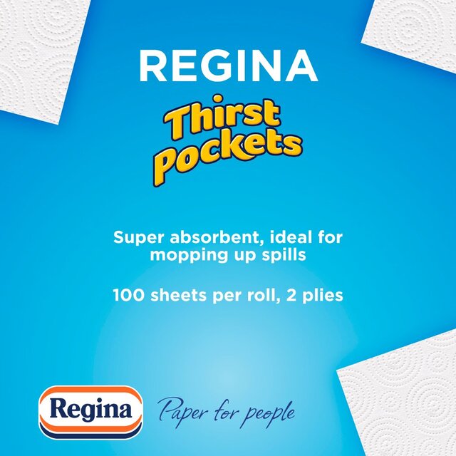 Regina Thirst Pockets Kitchen Roll thumbnail 2