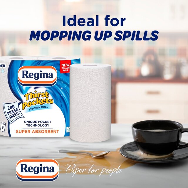 Regina Thirst Pockets Kitchen Roll thumbnail 3