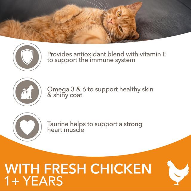 IAMS Adult Dry Cat Food Chicken thumbnail 3