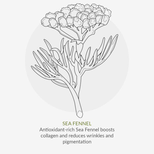 Green People Organic Tinted DD Moisturiser SPF15, Light, Vegan By Cha Vohtz thumbnail 9