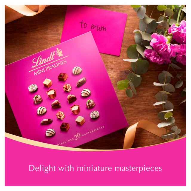 Lindt Mini Pralines Selection thumbnail 6