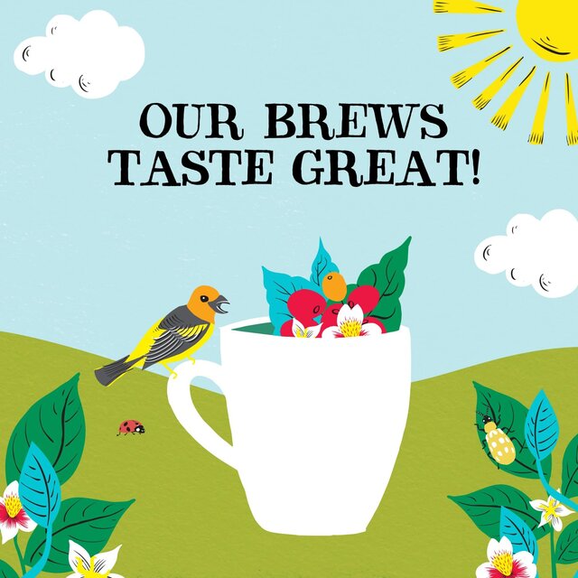 Clipper Latin American Decaf Fairtrade Organic Coffee thumbnail 2