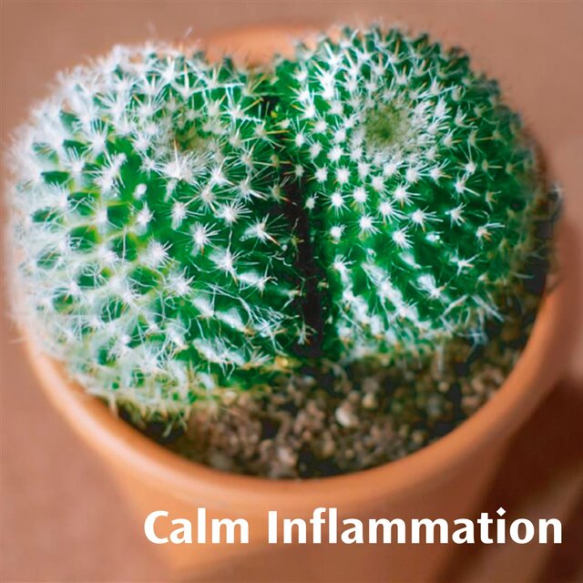 Anusol Soothing Relief Ointment thumbnail 3