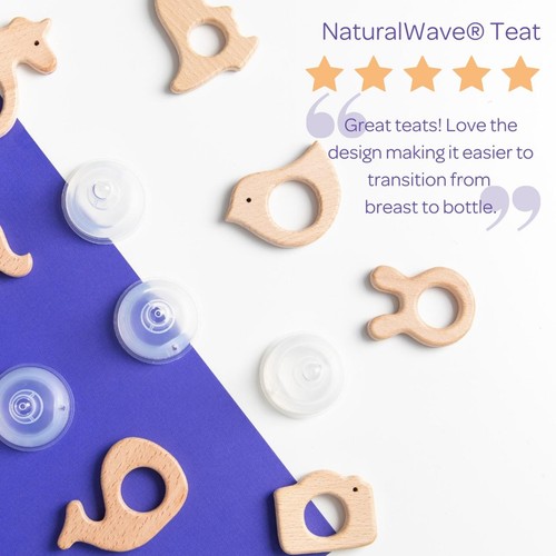 Lansinoh Silicone Bottle Teats Fast Flow thumbnail 4
