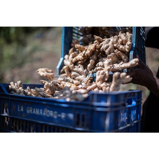 Wholegood Organic Ginger thumbnail 3