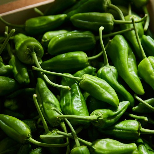 Natoora Padron Style Peppers thumbnail 3