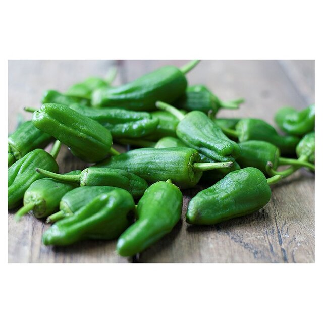 Natoora Spanish Padron Peppers thumbnail 2