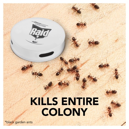Raid Ant Bait Station thumbnail 7