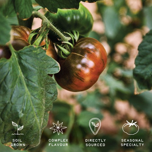 Natoora Spanish Black Iberiko Winter Tomatoes thumbnail 2