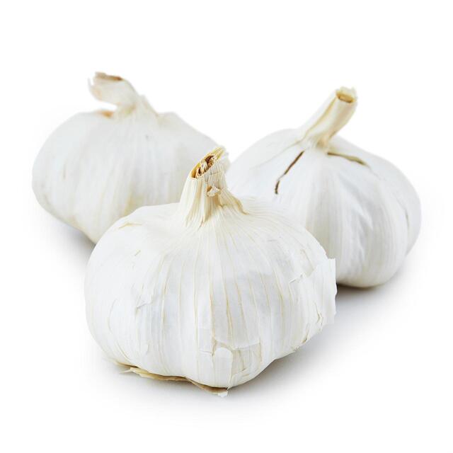 Natoora Large Spanish Garlic