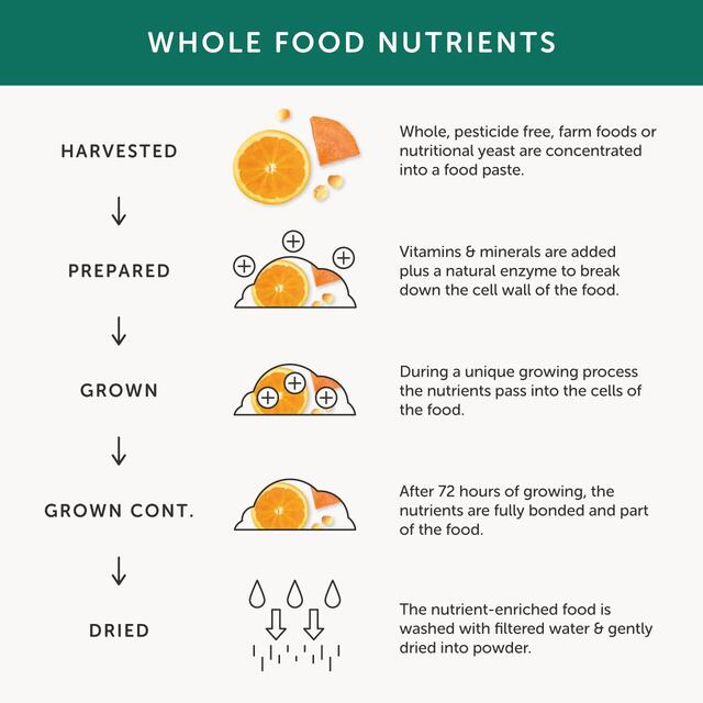 Together Health Vegan Multi Vegan Supplement thumbnail 7