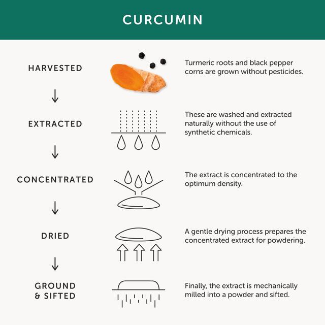 Together Health Turmeric & Curcumin Supplement thumbnail 4