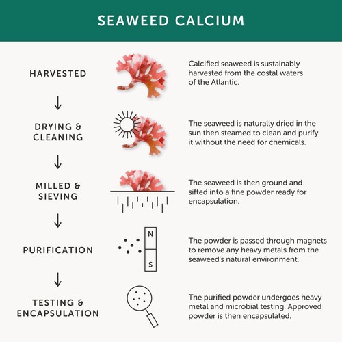 Together Health Natural Calcium from Seaweed thumbnail 6