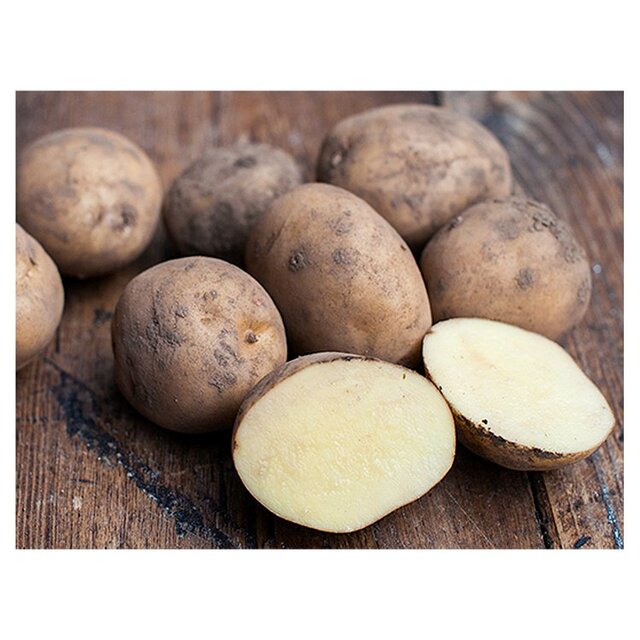 Natoora British Yukon Gold Potatoes thumbnail 2