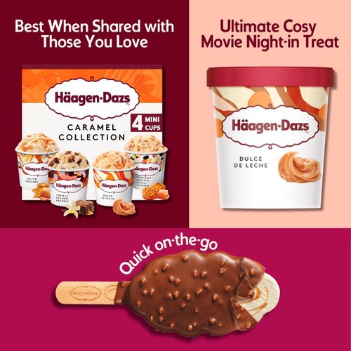 Haagen-Dazs Dulce de Leche Ice Cream thumbnail 5