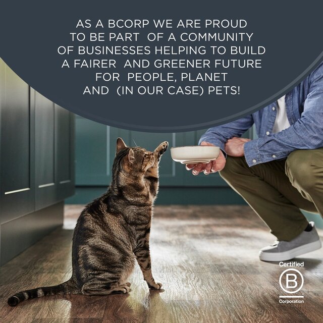 Encore Tuna Loin Natural Cat Treat thumbnail 6