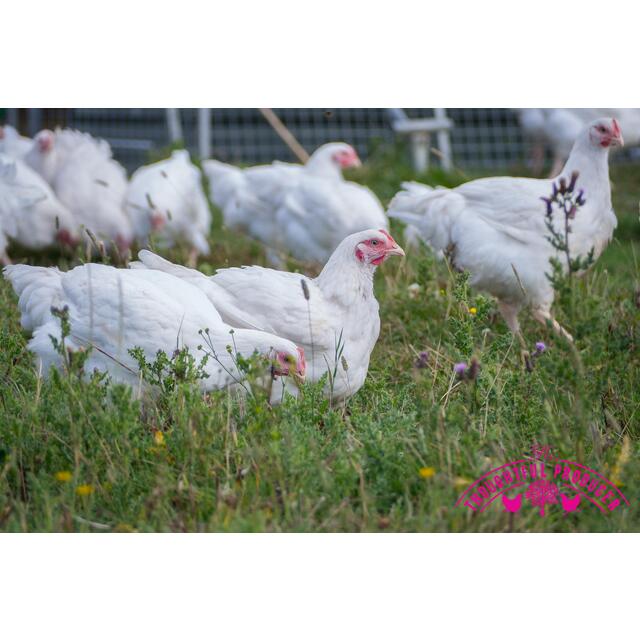 Thoughtful Producer Free Range Whole Chicken with Pop-Up Timer thumbnail 5