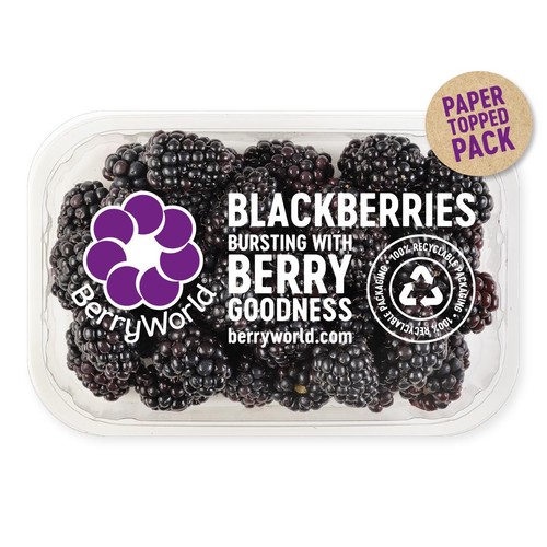 BerryWorld Blackberries