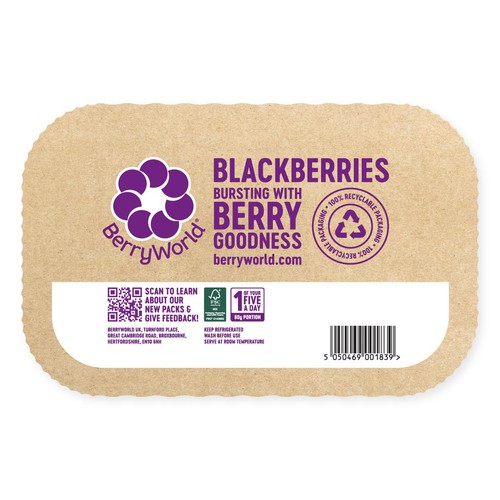 BerryWorld Blackberries thumbnail 2